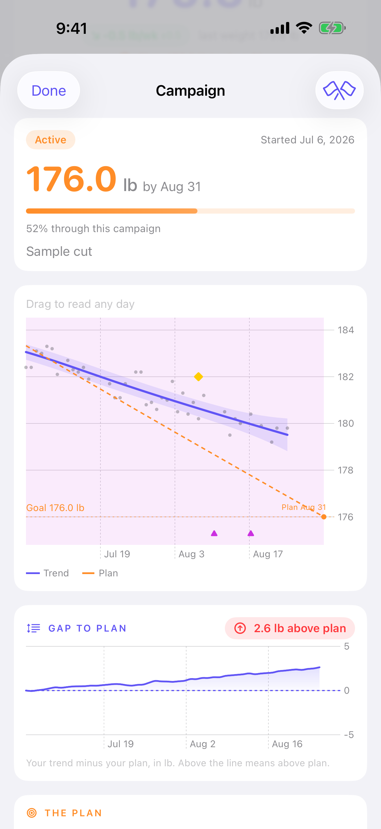Campaign detail showing a target, progress, plan curve, and arrival range